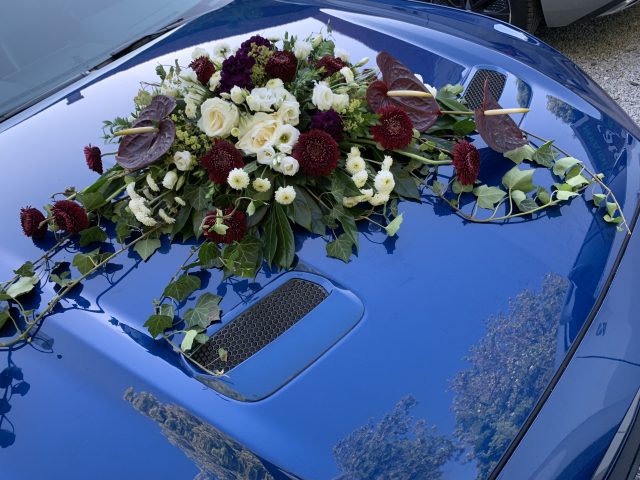 Foto 398